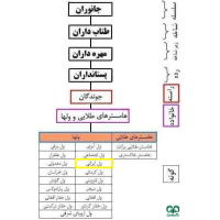 گونه ول ایرانی Iranian Vole